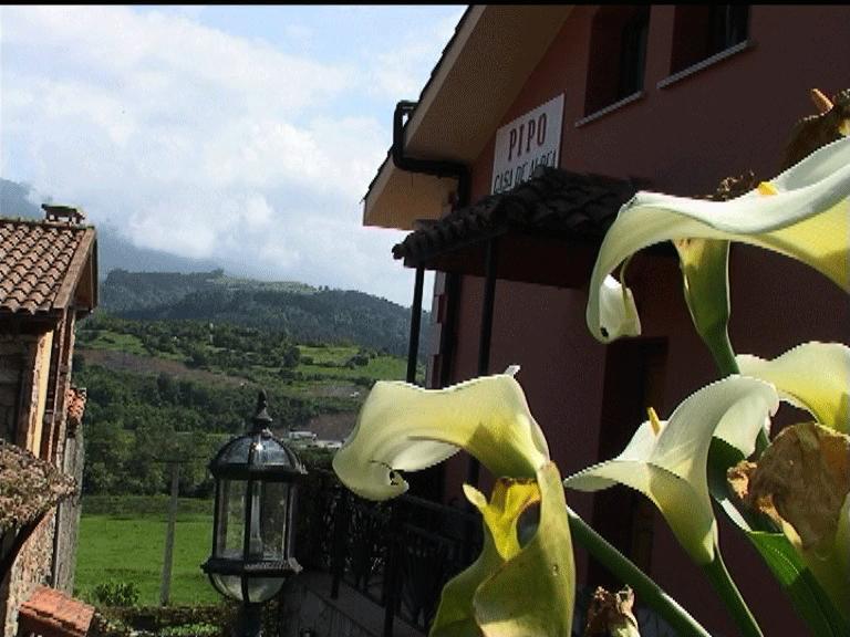 Casa Rural Casa Pipo Colunga Exterior foto